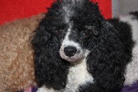 /album/trixi/img-4246-jpg1/
