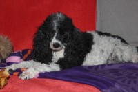/album/trixi/img-4253-jpg/