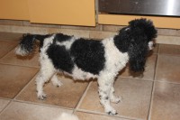 /album/trixi/img-4264-jpg/