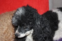 /album/trixi/img-4245-jpg/
