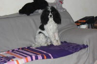 /album/annabel/img-4252-jpg1/