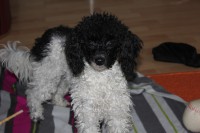 /album/debbi/img-4247-jpg1/