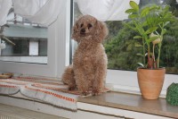 /album/billy/img-4259-jpg/