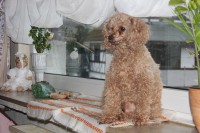 /album/billy/img-4261-jpg1/