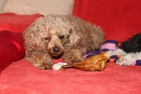/album/billy/img-4254-jpg/