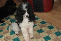 /album/annabel/img-4373-jpg/