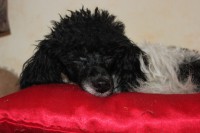 /album/debbi/img-4355-jpg/