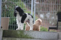 /album/trixi/img-4449-jpg/