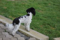 /album/debbi/img-4456-jpg/