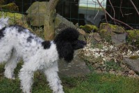 /album/debbi/img-4457-jpg/