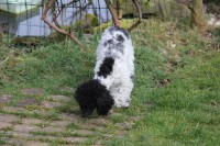 /album/debbi/img-4460-jpg/